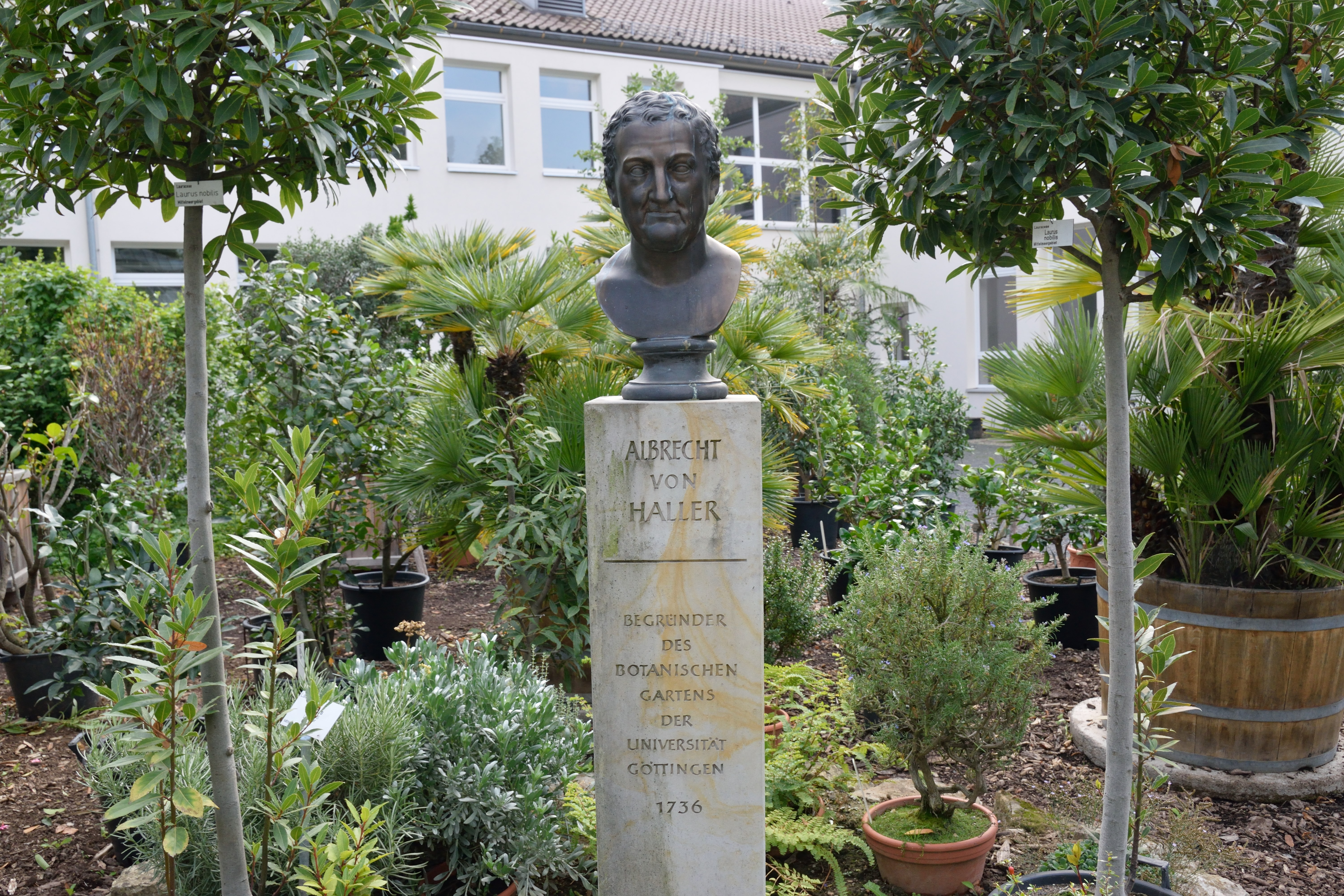 植物園にある偉い人の銅像