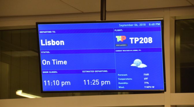 ポルトガル航空 ニューヨークJFK空港→リスボン空港 TP208便 A330【搭乗記】