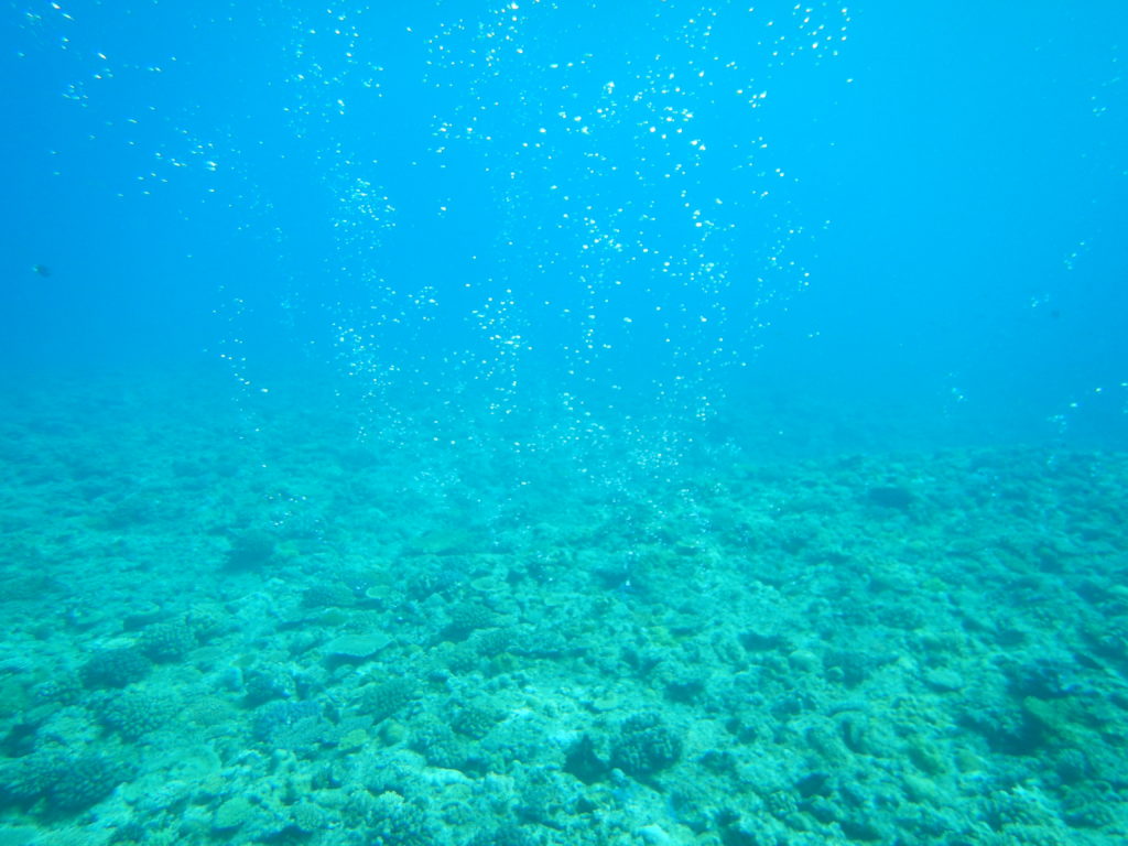 海の中の気泡